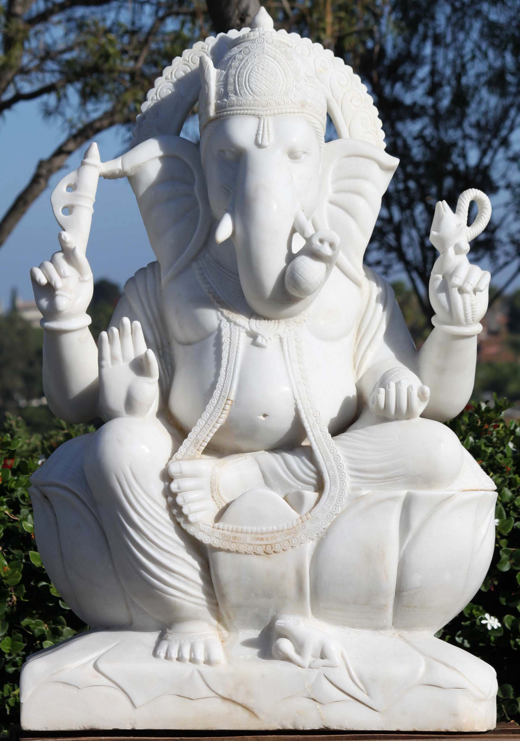 Asian elephant Ganesh